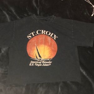 Brandy Melville st croix cropped tee